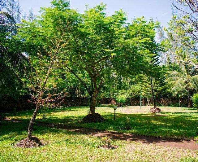 Kijani Cottages Diani Diani Beach Luaran gambar